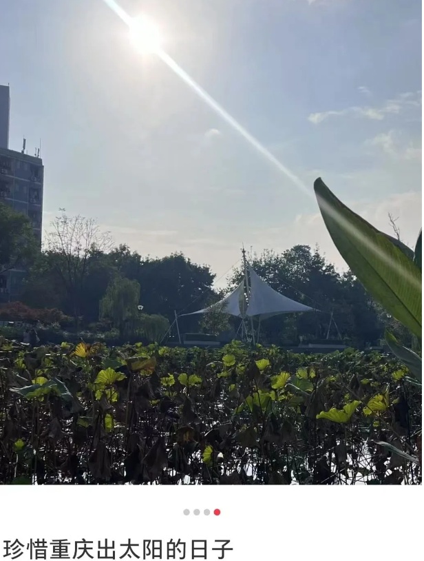 冷空气今晚到，雨雪来袭！重庆天气大转折，最讨厌的它也来了......