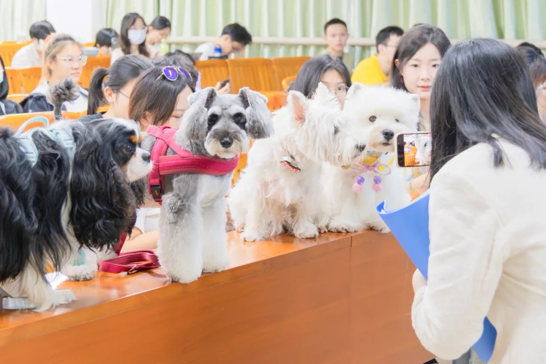 我的“助教”是小狗/小猫！真没骗你