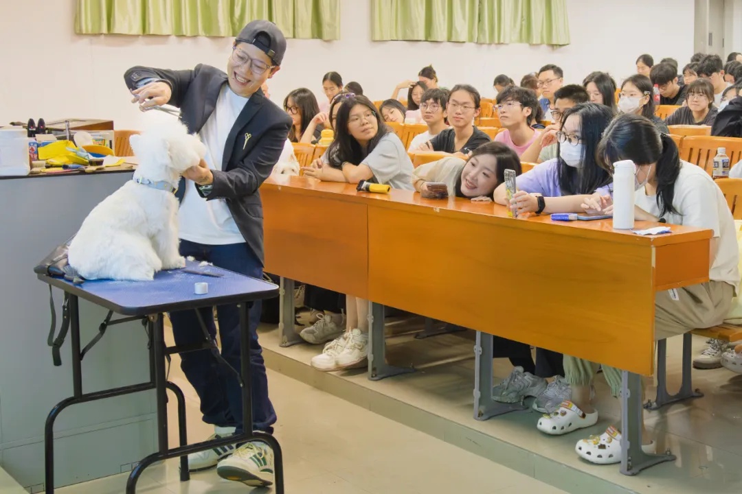 我的“助教”是小狗/小猫！真没骗你