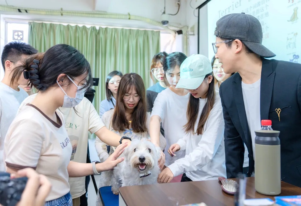 我的“助教”是小狗/小猫！真没骗你