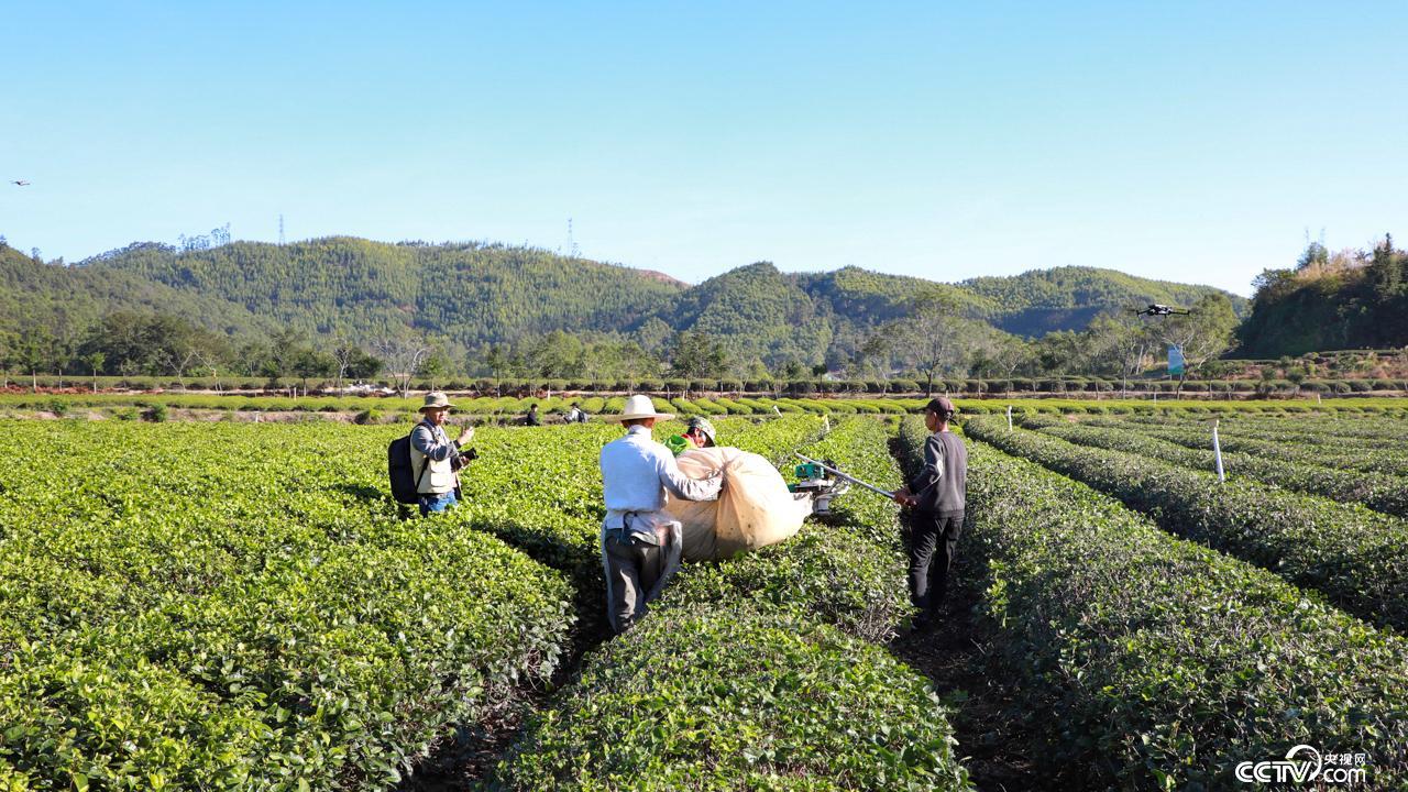 莆田木兰溪:从“水患之河”向“生态之河”“发展之河”蝶变 莆田木兰溪:从“水患之河”向“生态之河”“发展之河”蝶变