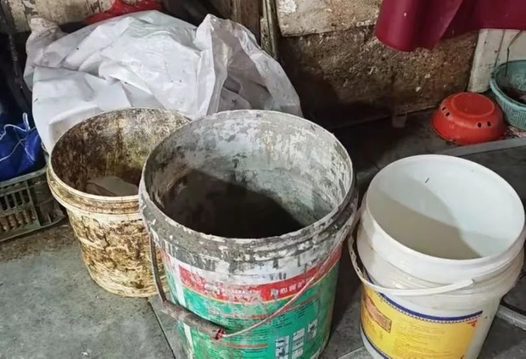 对话救火“卖鱼哥”：我本勇敢