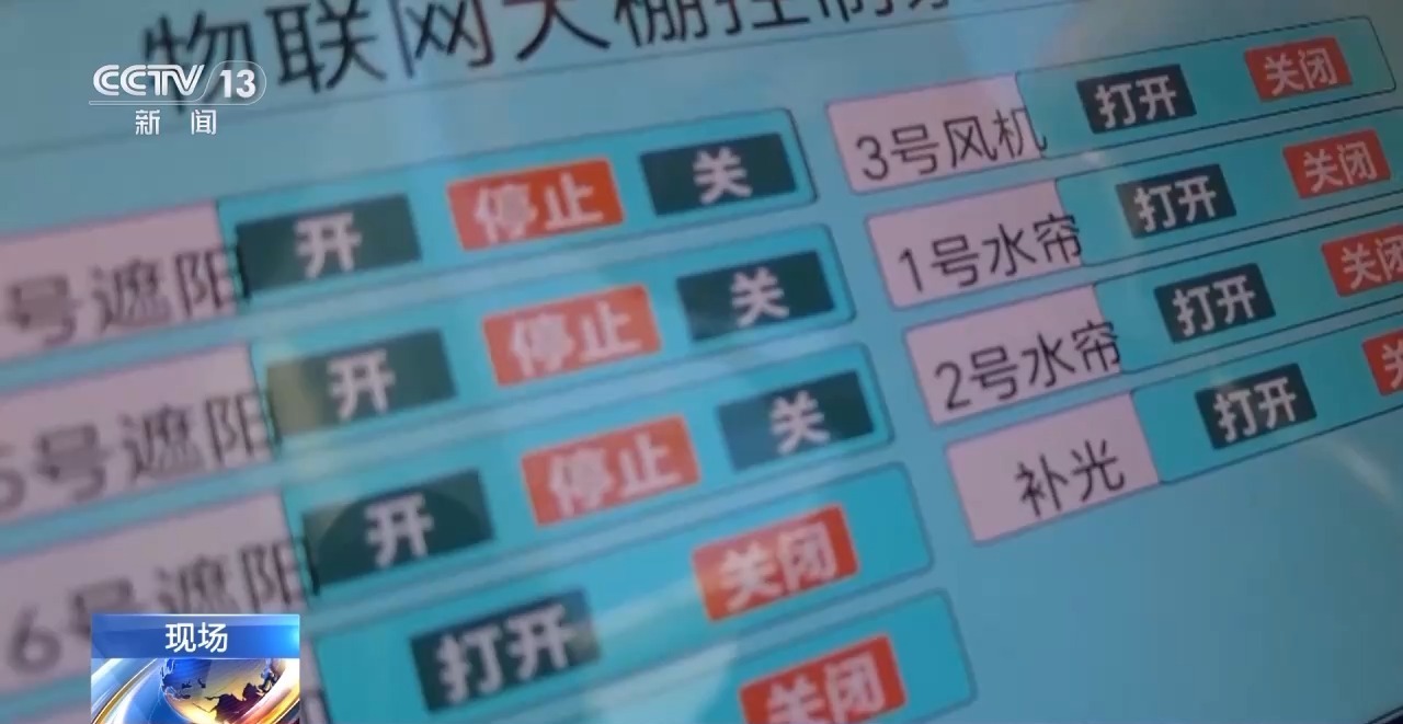 “暖冬”应对寒潮 多地推进供暖建设