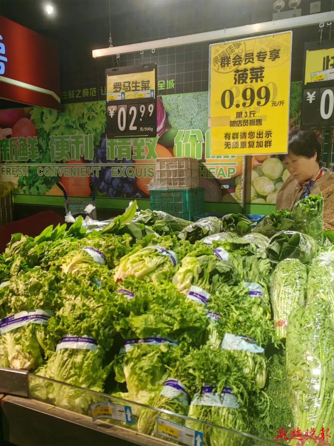 白菜大葱大量上市 冬储菜还有人囤吗 白菜大葱大量上市 冬储菜还有人囤吗