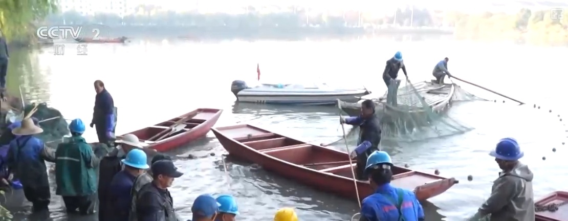 鱼跃水清，冬捕忙！深海网箱养殖成海洋经济亮点