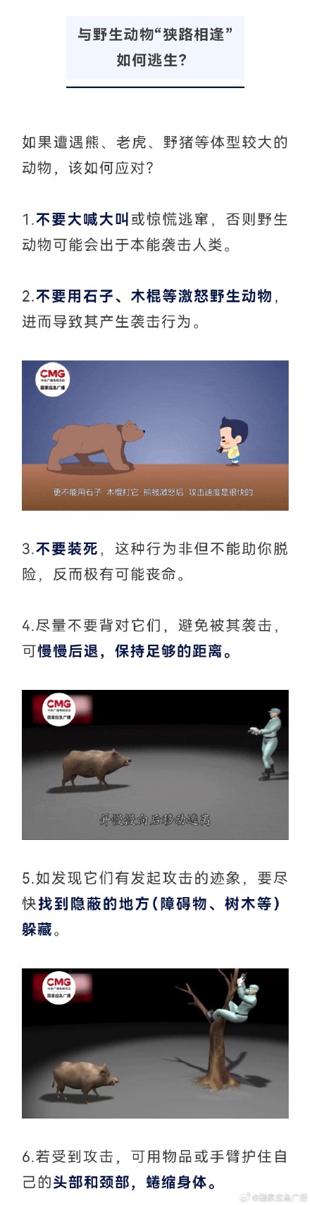 野生动物扎堆“出圈” 我们怎么办？