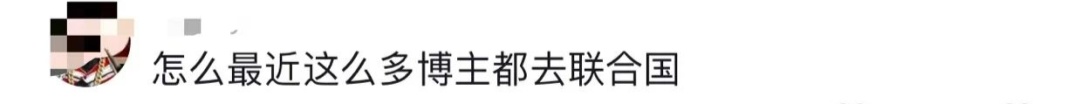 网红扎堆去联合国“开会”?网友:差点就信了 网红扎堆去联合国“开会”?网友:差点就信了