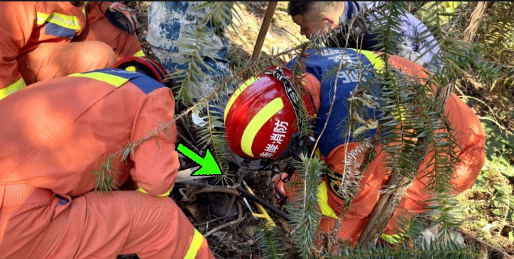 又是TA“埋伏”山中！2人惨被“击中”……