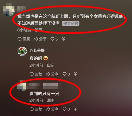 飞机上惊现老鼠窜来窜去？旅客讲述细节并质疑有安全隐患，长安航空回应