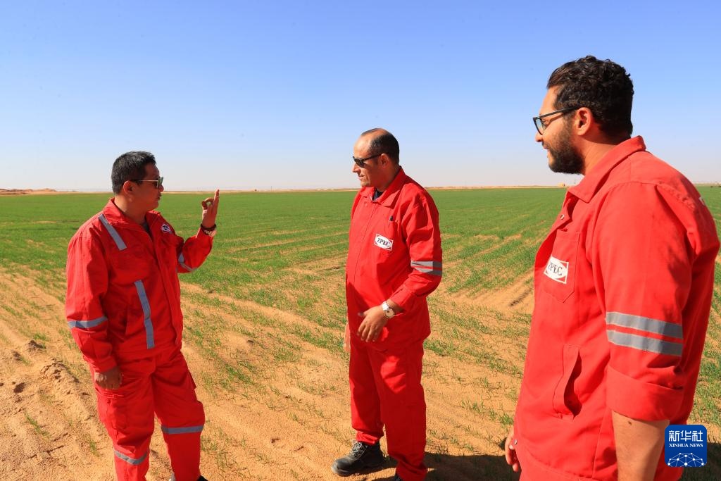 通讯|在荒漠中浇灌希望——记在埃及沙漠腹地工作的中国水井施工队 通讯|在荒漠中浇灌希望——记在埃及沙漠腹地工作的中国水井施工队