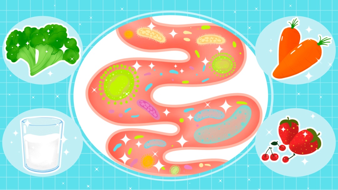 【提示】从晚饭到睡觉，到底间隔多久才科学？