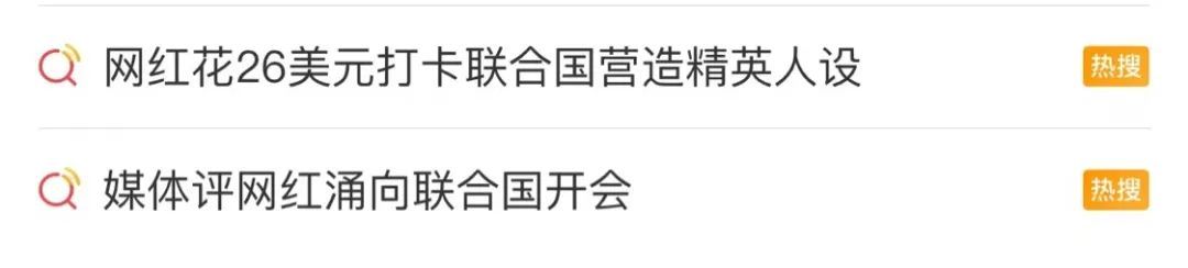 网红扎堆去联合国“开会”?网友:差点就信了 网红扎堆去联合国“开会”?网友:差点就信了