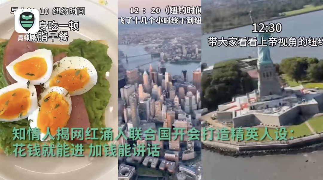 网红扎堆去联合国“开会”？更多详情曝光，尴尬了