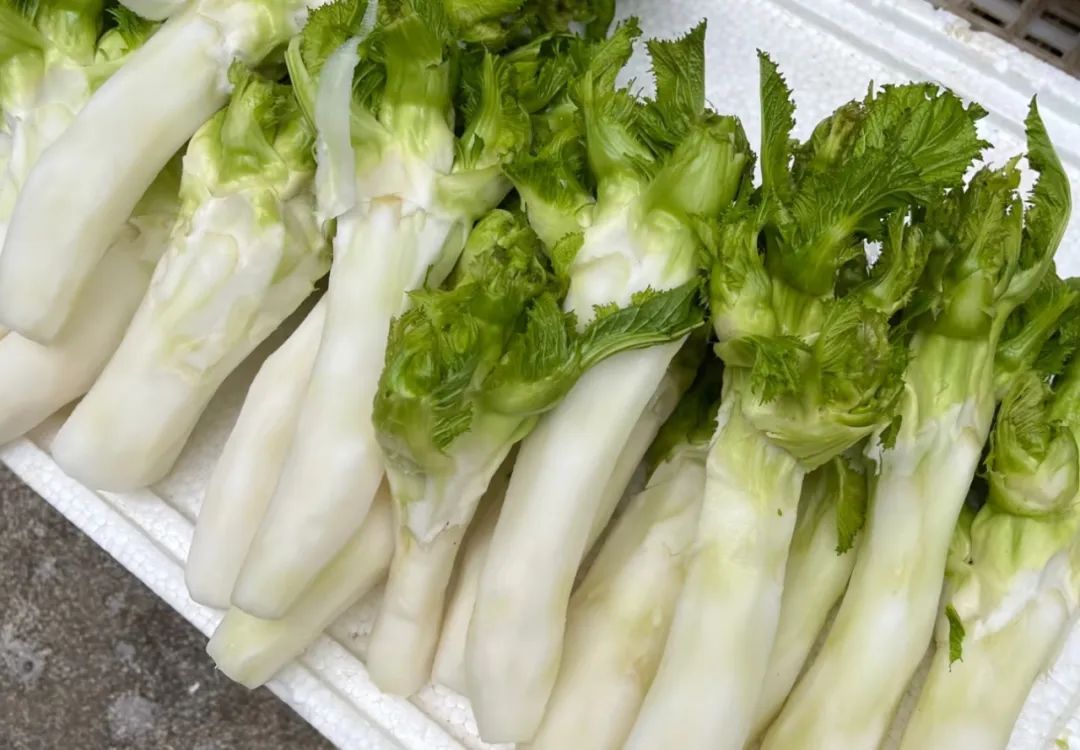 打包，晚上下面！四川人宝藏“腊味秘籍”请查收→