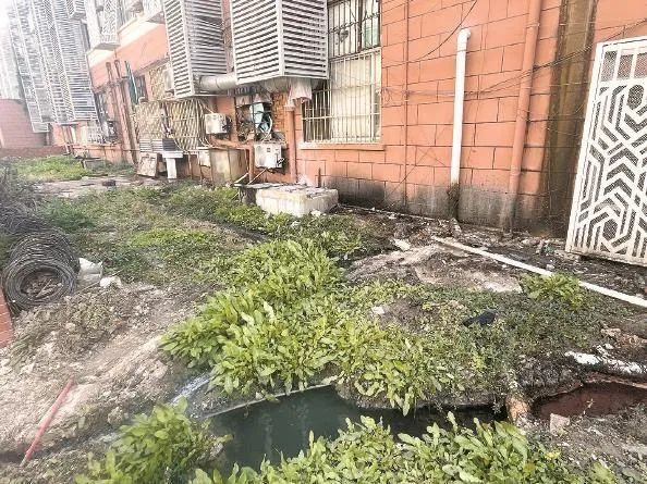 沿街餐饮店背面污水横流，上海一小区车库荒废18年！居民：投诉多次，没用