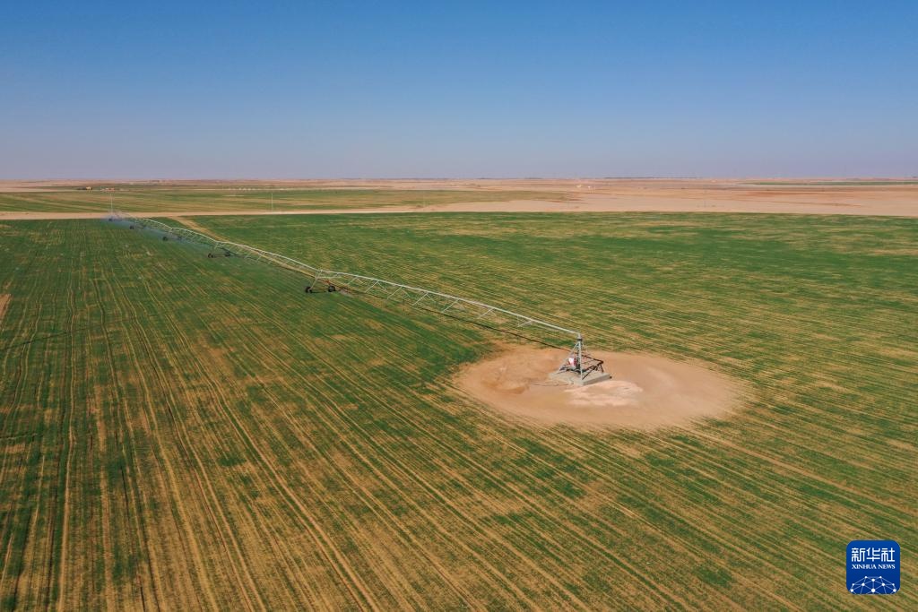 通讯|在荒漠中浇灌希望——记在埃及沙漠腹地工作的中国水井施工队 通讯|在荒漠中浇灌希望——记在埃及沙漠腹地工作的中国水井施工队