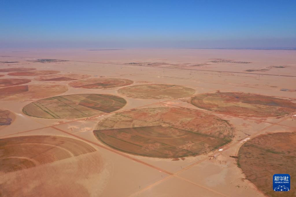 通讯|在荒漠中浇灌希望——记在埃及沙漠腹地工作的中国水井施工队 通讯|在荒漠中浇灌希望——记在埃及沙漠腹地工作的中国水井施工队