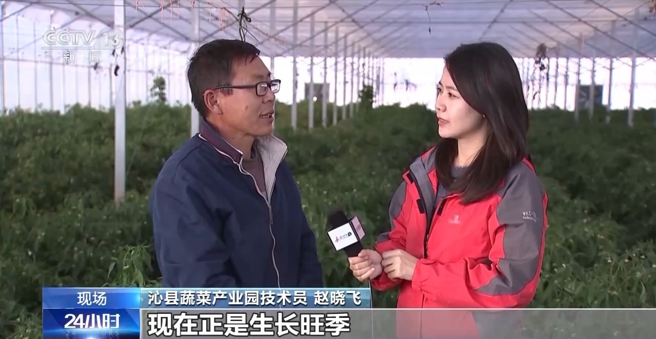 “暖冬”应对寒潮 多地推进供暖建设