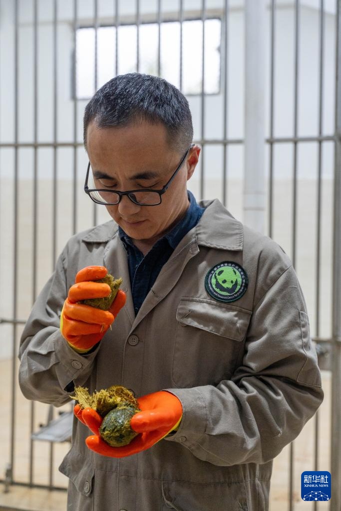 新华社记者独家现场探访大熊猫“福宝”