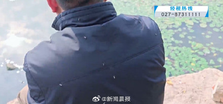密密麻麻!多得像“马赛克" 武汉一湖边漫天飞虫 密密麻麻!多得像“马赛克" 武汉一湖边漫天飞虫