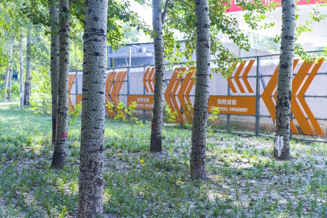 朝阳绿道和一绿朝来森林公园两个项目荣获国际大奖