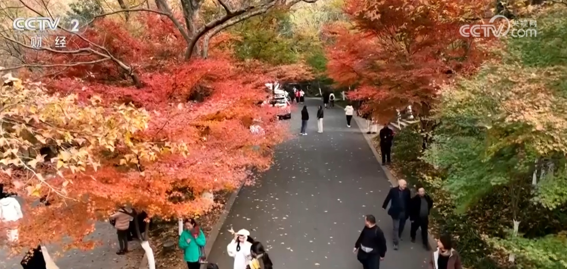 赏红叶、看冬景、打卡“天空之镜” 解锁大美中国的N种“沉浸式”玩法