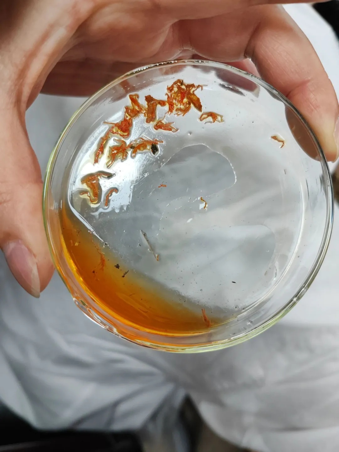 红花染色充当藏红花，烟蒂、塑料、螺丝壳被检出！小心这种“泡脚包”