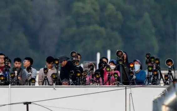 深中通道的绝美“悬日”，你见过吗？