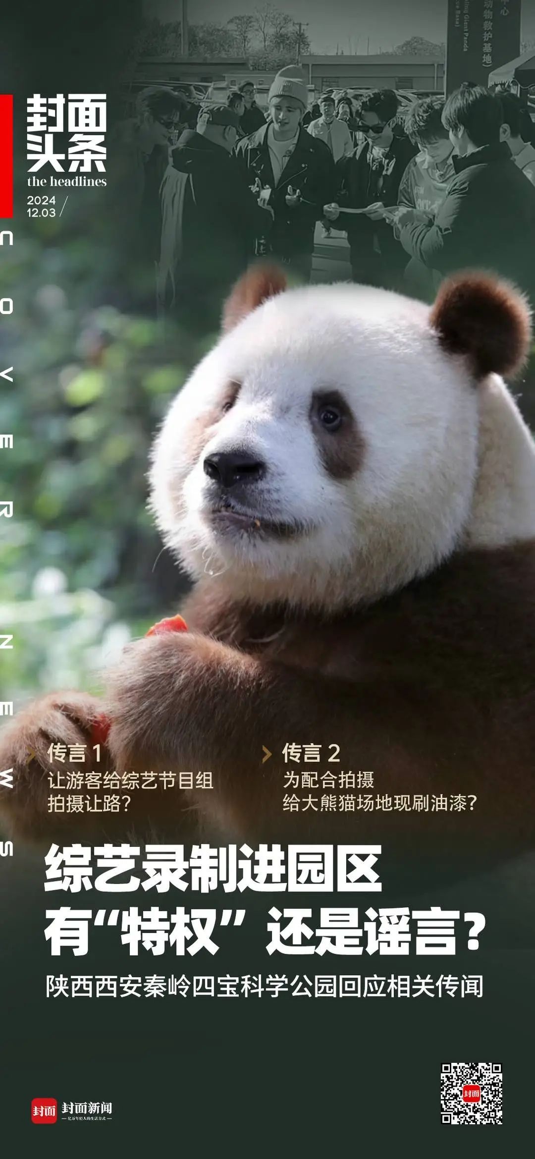 为配合录综艺,大熊猫“七仔”场地现刷油漆,还让游客让道?园方回应 为配合录综艺,大熊猫“七仔”场地现刷油漆,还让游客让道?园方回应