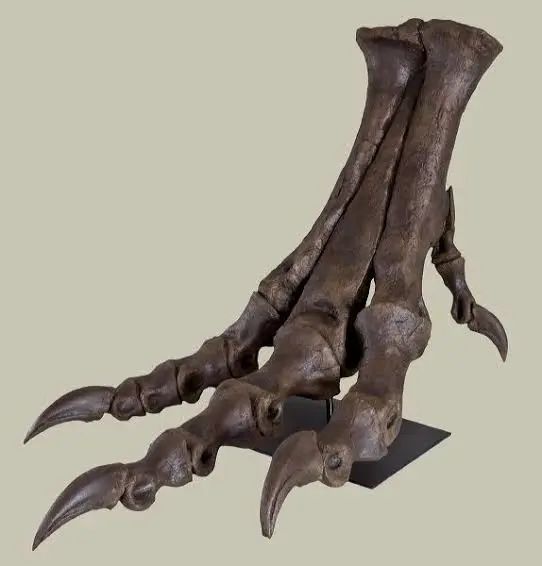 身为人类，跑不赢霸王龙很丢人吗？