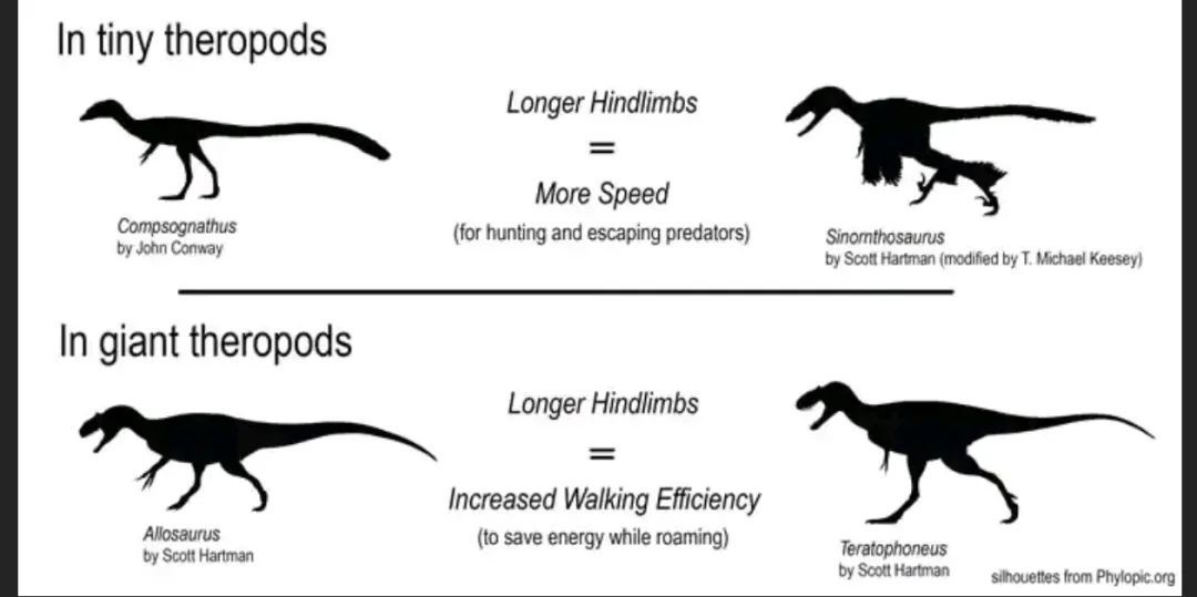 身为人类，跑不赢霸王龙很丢人吗？