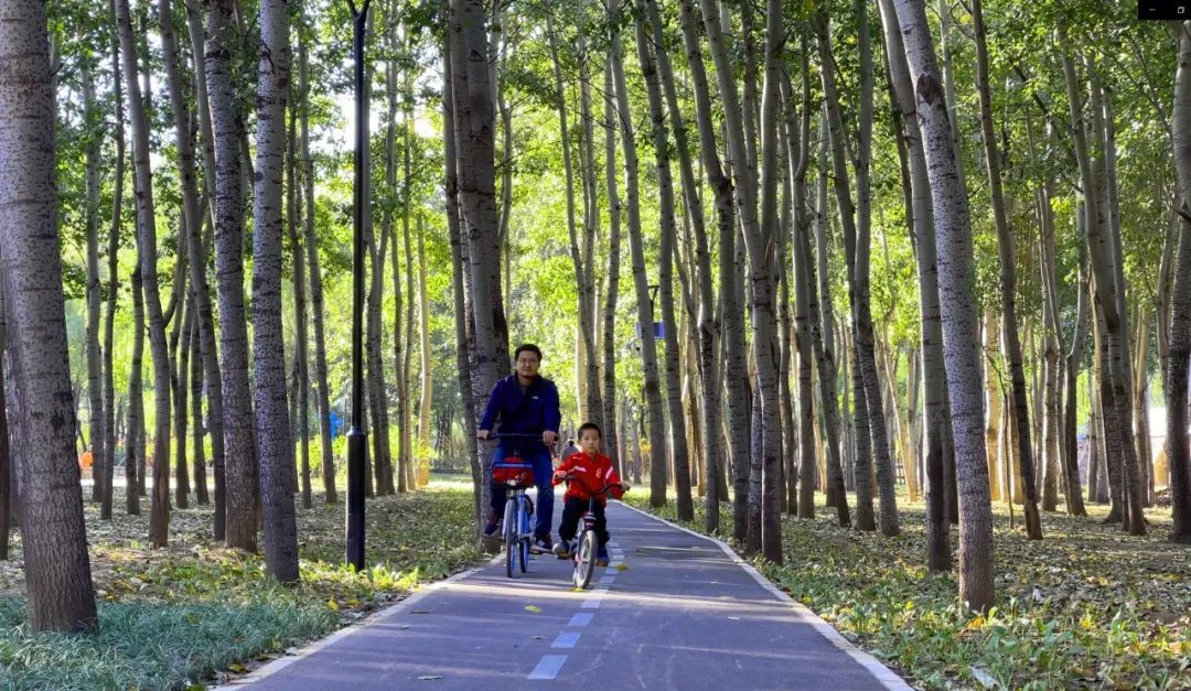 朝阳绿道和一绿朝来森林公园两个项目荣获国际大奖