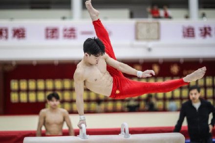 国家男子体操队开启冬训 老将回归传帮带 新人入队活力足