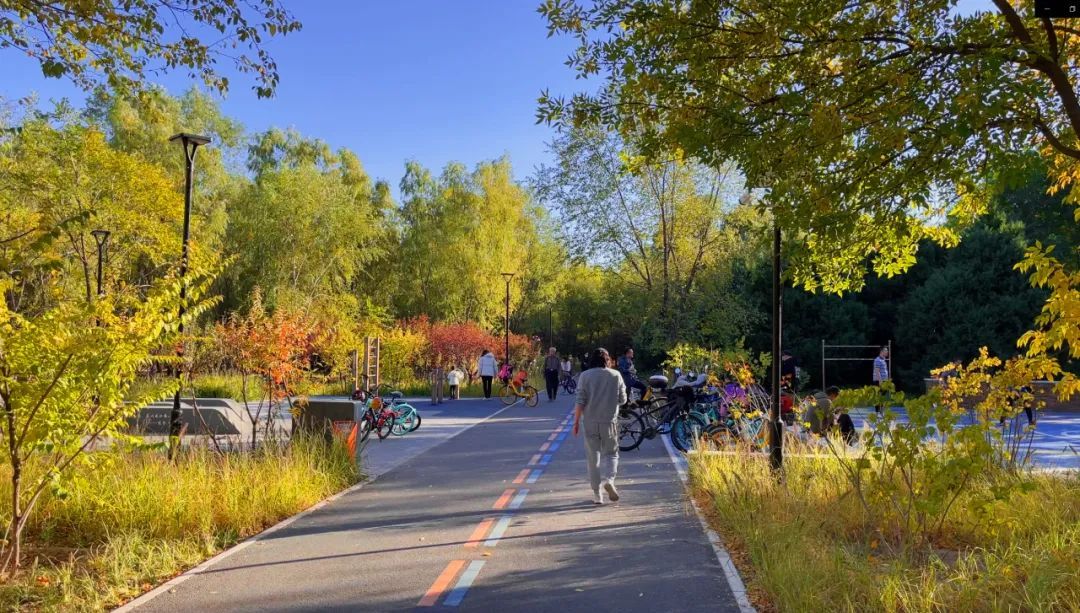 朝阳绿道和一绿朝来森林公园两个项目荣获国际大奖