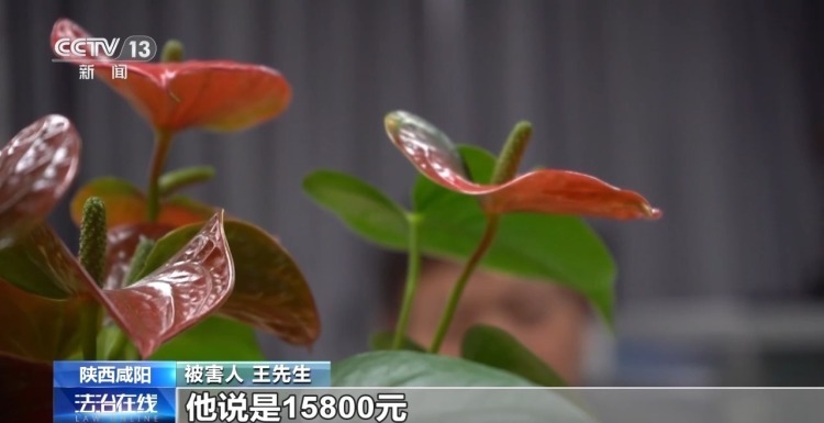 网约车运现金、快递黄金?警惕这些诈骗新手法 网约车运现金、快递黄金?警惕这些诈骗新手法