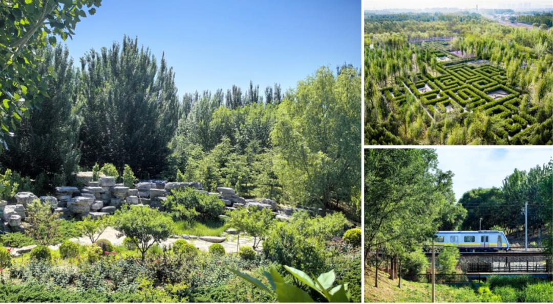 朝阳绿道和一绿朝来森林公园两个项目荣获国际大奖