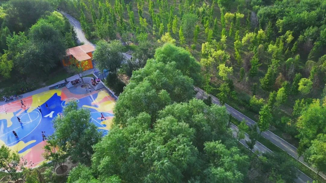 朝阳绿道和一绿朝来森林公园两个项目荣获国际大奖