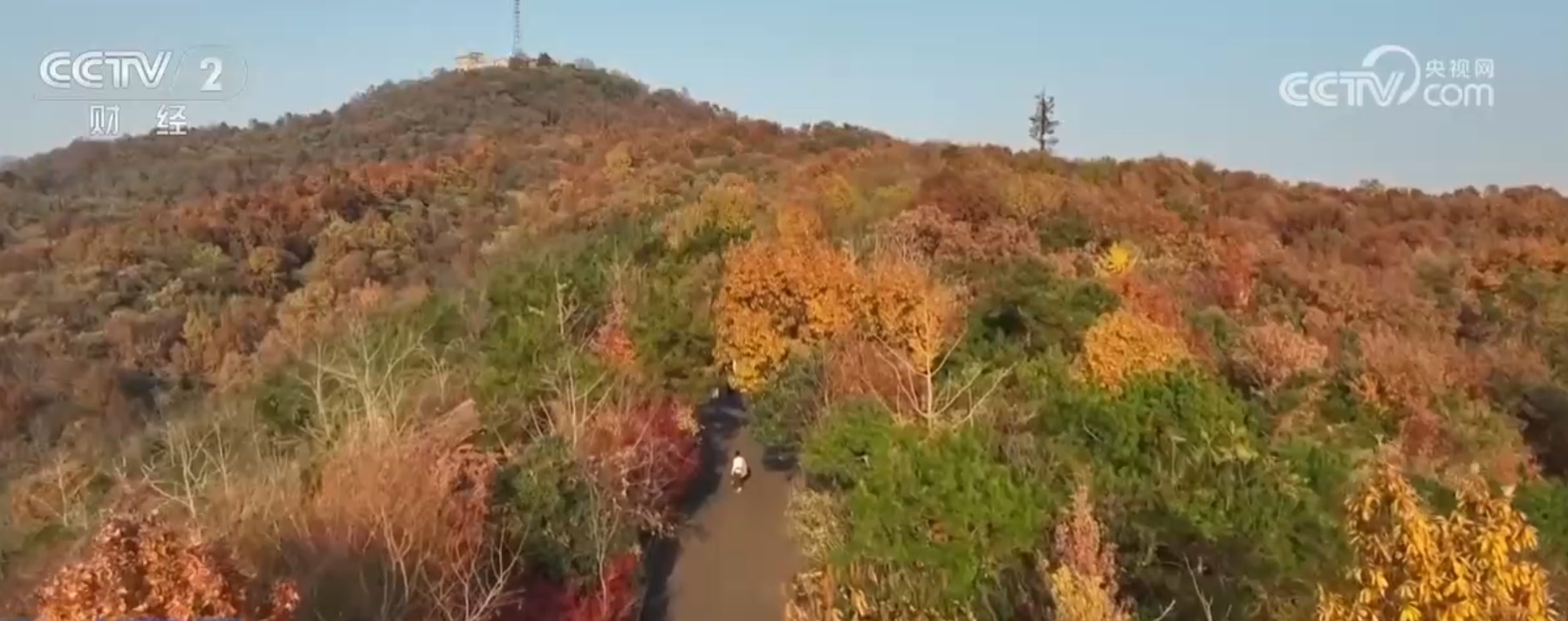 赏红叶、看冬景、打卡“天空之镜” 解锁大美中国的N种“沉浸式”玩法