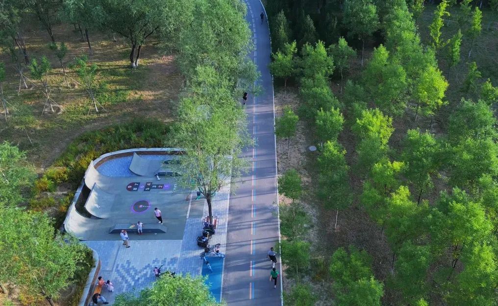 朝阳绿道和一绿朝来森林公园两个项目荣获国际大奖