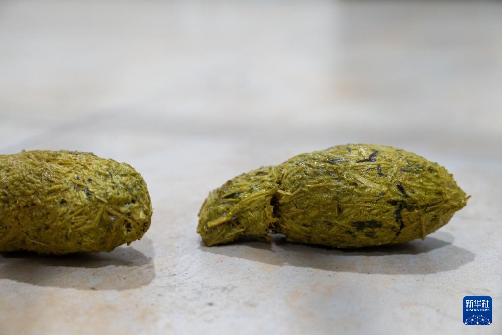 新华社记者独家现场探访大熊猫“福宝”