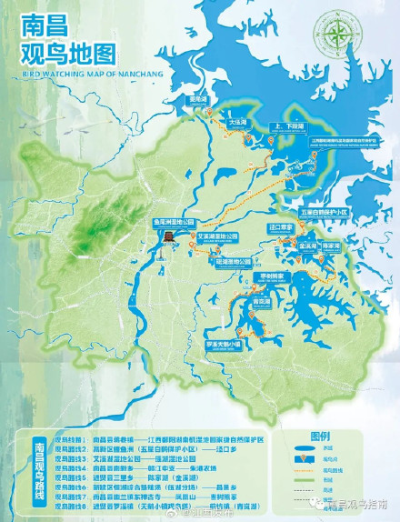 最新！南昌发布候鸟观赏地图