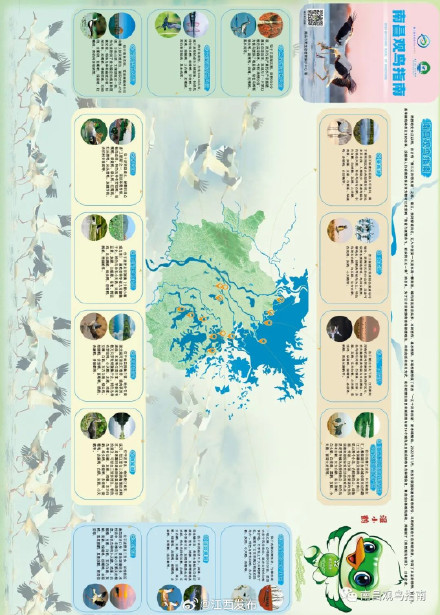 最新！南昌发布候鸟观赏地图