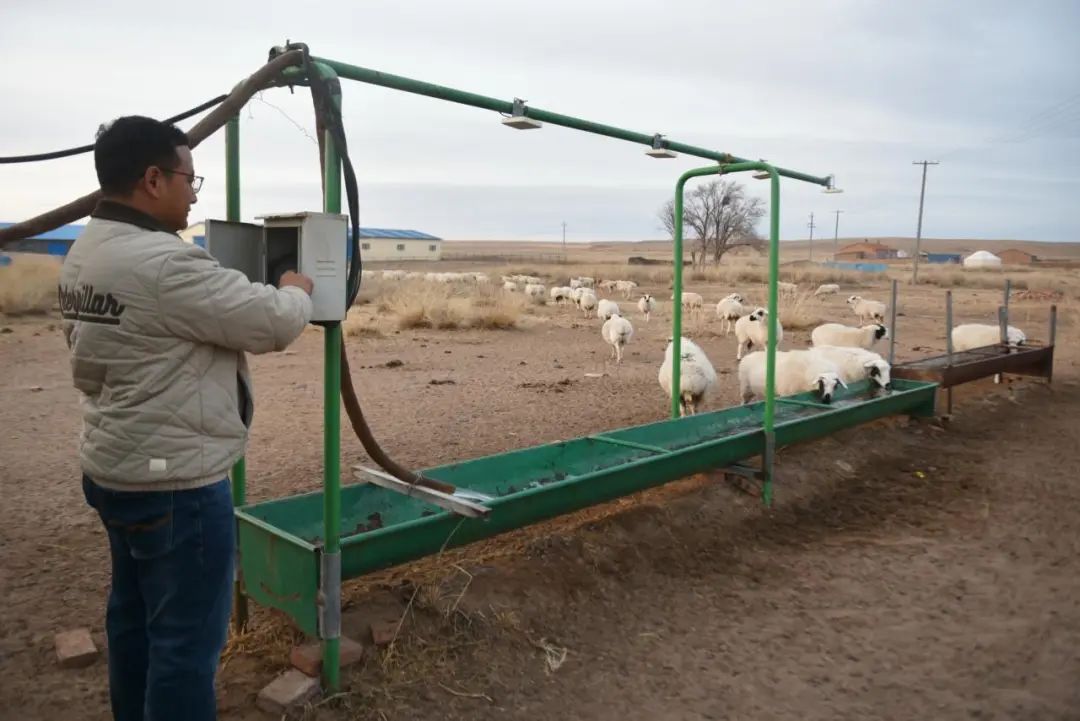 躺在家里就能放牧?听听草原上这头牛怎么“说” 躺在家里就能放牧?听听草原上这头牛怎么“说”