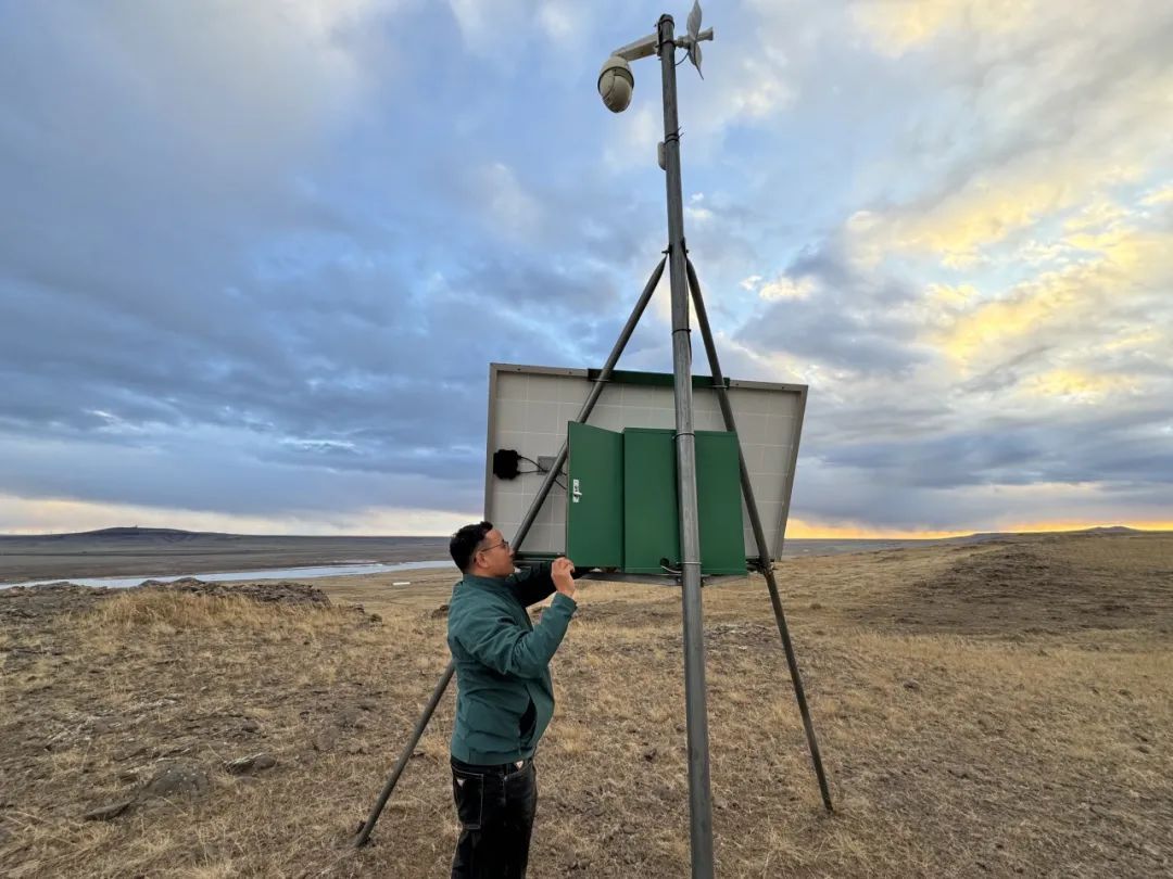 躺在家里就能放牧?听听草原上这头牛怎么“说” 躺在家里就能放牧?听听草原上这头牛怎么“说”