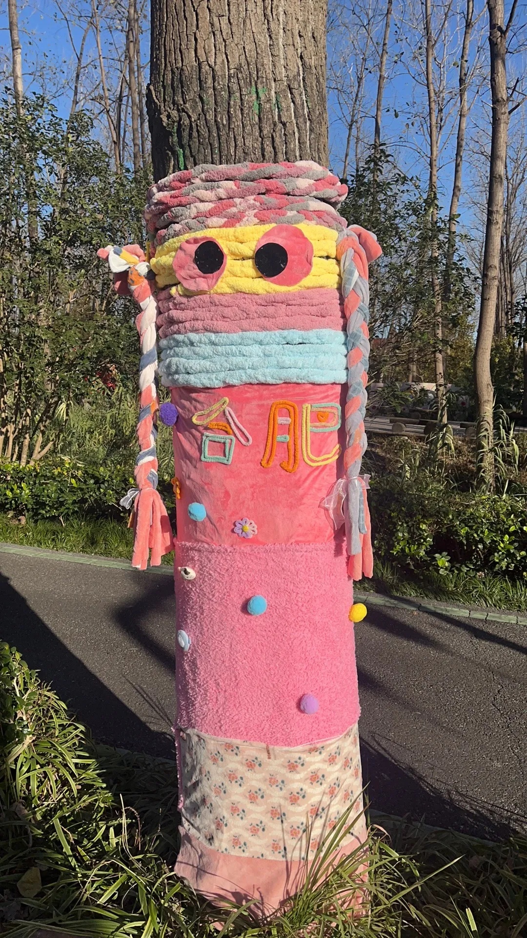 可可爱爱!合肥的大树穿毛衣了 可可爱爱!合肥的大树穿毛衣了