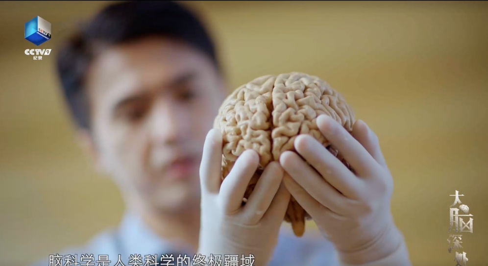 揭示大脑衰老内幕，50岁前尤其留意这种情况出现