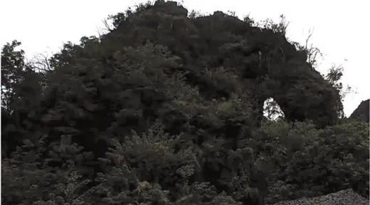 “象鼻山一家五口”火了！打卡新方式→
