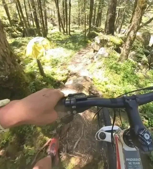 两度发现遗体的博主将被处罚？本人发声