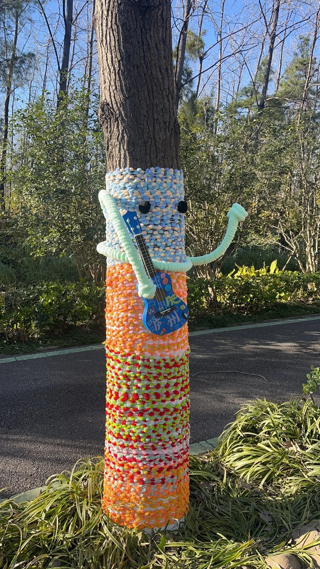 可可爱爱!合肥的大树穿毛衣了 可可爱爱!合肥的大树穿毛衣了