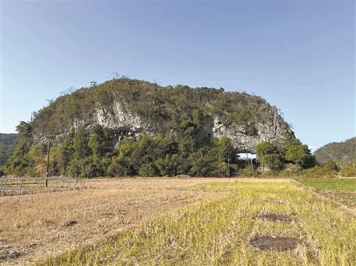 “象鼻山一家五口”火了！打卡新方式→